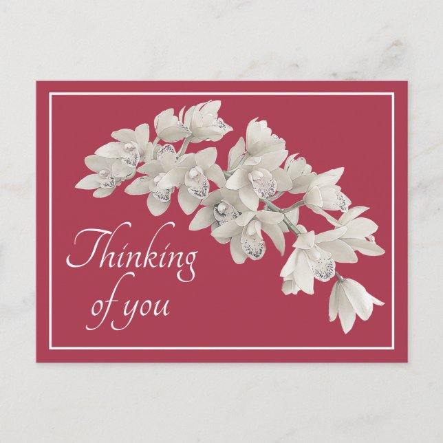 Thinking of You White Orchid Modern Botanical Chic Postcard (Front)