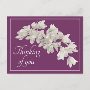 Thinking of You White Orchid Modern Botanical Chic Postcard
