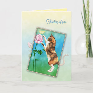 Thinking of you with a playful cat card