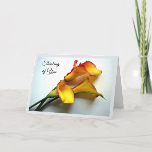 Thinking of You with Mango Coloured Calla Lilies Card