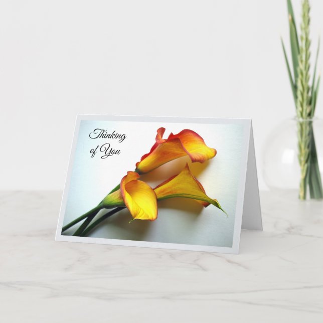 Thinking of You with Mango Coloured Calla Lilies Card (Front)