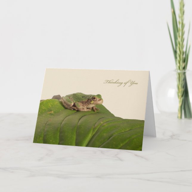 Thinking of You with Missouri Tree Frog Card (Front)