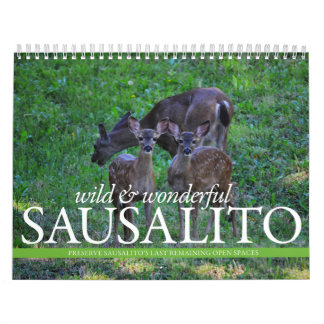 THINKSausalito 2012 Calendar
