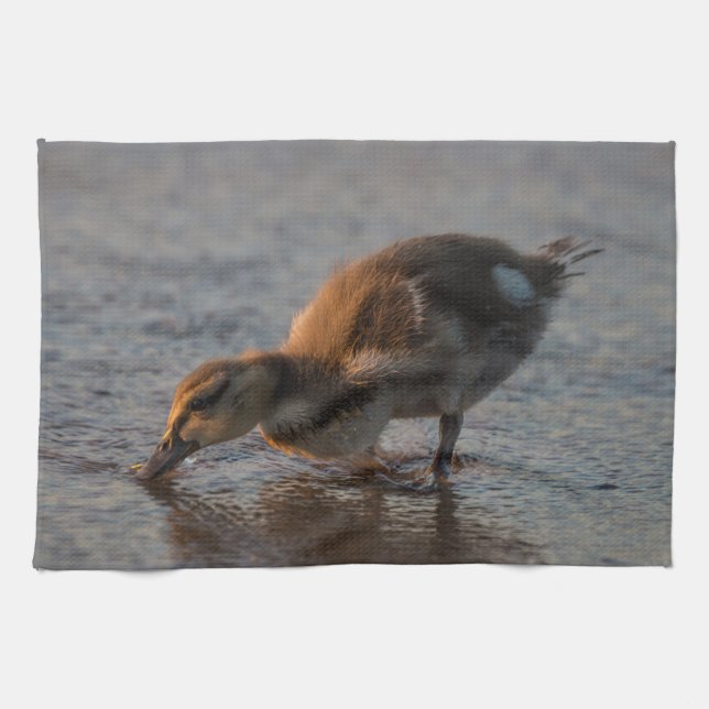 Thirsty Baby Kitchen Towel (Horizontal)