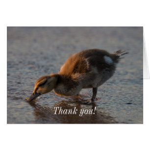 Thirsty Baby Thank You Card