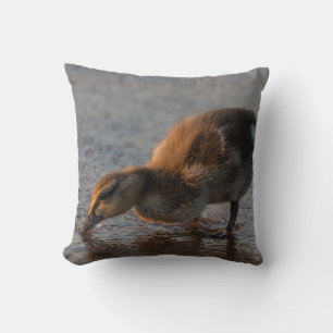 Thirsty Baby Throw Pillow