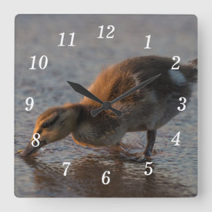 Thirsty Baby Wall Clock
