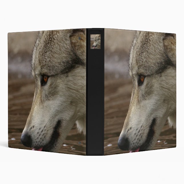 Thirsty, But Watchful Binder (Background)