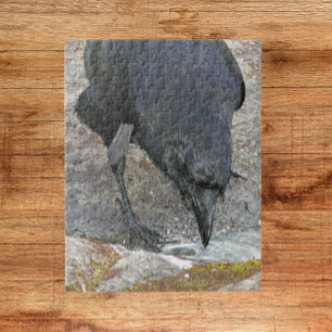 Thirsty Crow Taking a Drink Jigsaw Puzzle