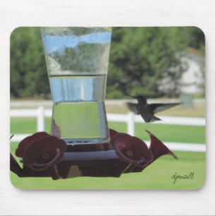 Thirsty Hummingbird and Feeder Mouse Pad