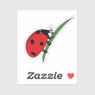 Thirsty Ladybug