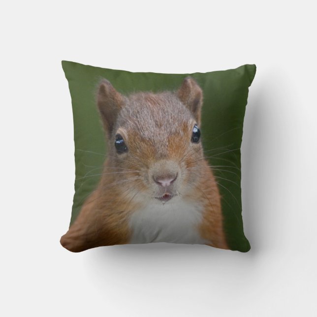 Thirsty Squirrel Pillow (Front)