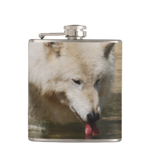 Thirsty Wolf Hip Flask