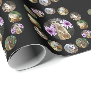 Thirteen Meerkats Surprise, Wrapping Paper