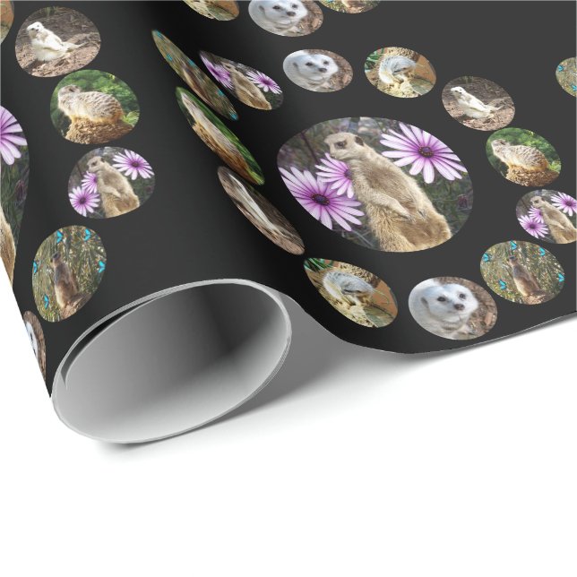 Thirteen Meerkats Surprise, Wrapping Paper (Roll Corner)
