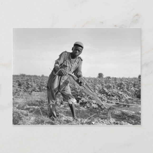 Thirteen-year old Plowing a Field in Georgia Postcard (Front)