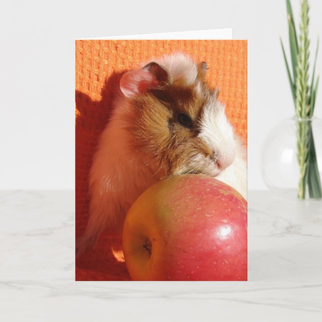 This Apple is Too Big For Me Card (Front)