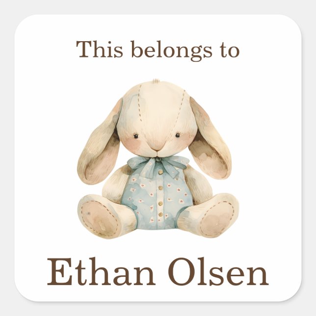This Belongs to Custom Preschool Boy Bunny Rabbit Square Sticker (Front)
