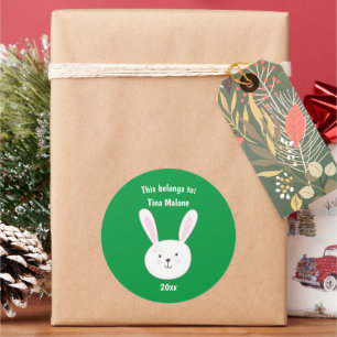 This Belongs to School Green Cute Bunny Rabbit Classic Round Sticker