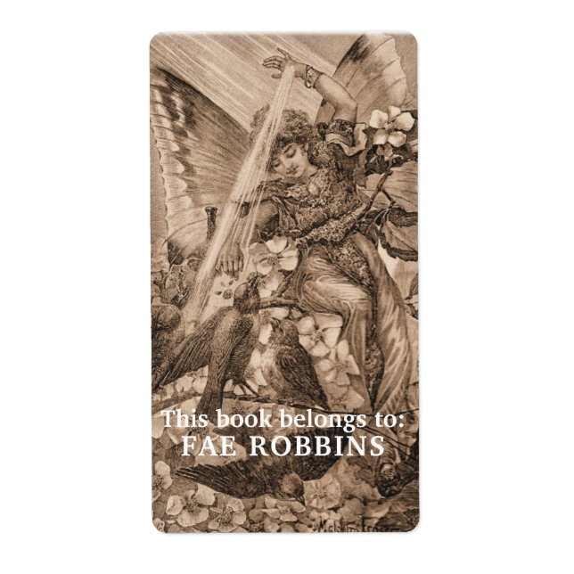 This Book Belongs to Vintage Fairy Birds Bookplate (Front)