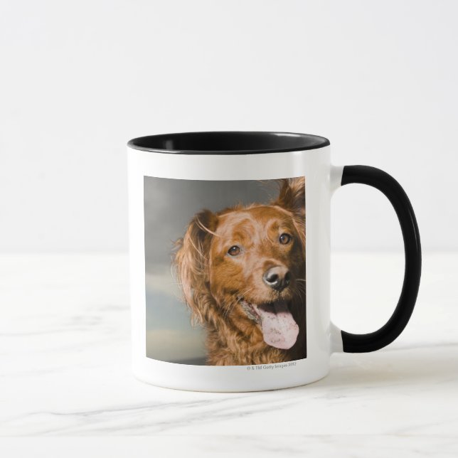 This dog is part golden retriever. mug (Right)