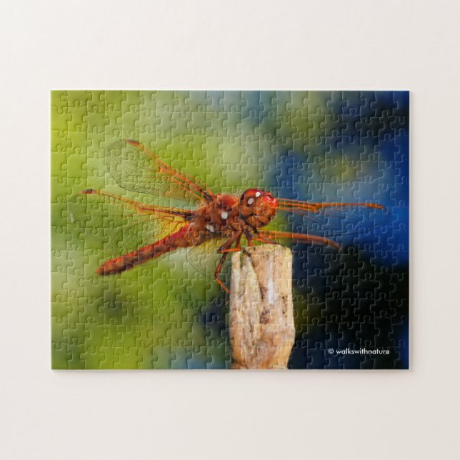 This Dragonfly is So Fly When He Smiles! Jigsaw Puzzle (Horizontal)