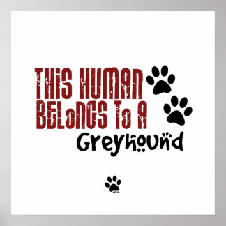 This Human Belongs to a Greyhound Poster