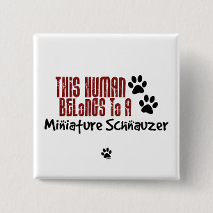 This Human Belongs to a Miniature Schnauzer 2 Inch Square Button