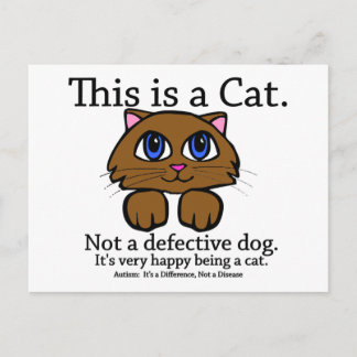 This is a Cat Postcard