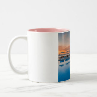 THIS IS A COFFEE MUG. FOR COFFEE  AND TEA. Two-Tone COFFEE MUG