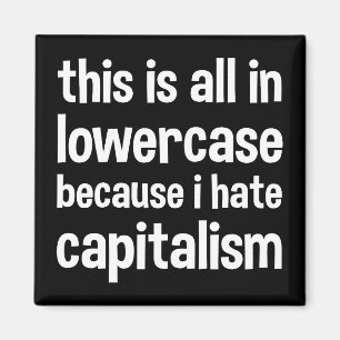 this is all in lowercase because i hate capitalism magnet