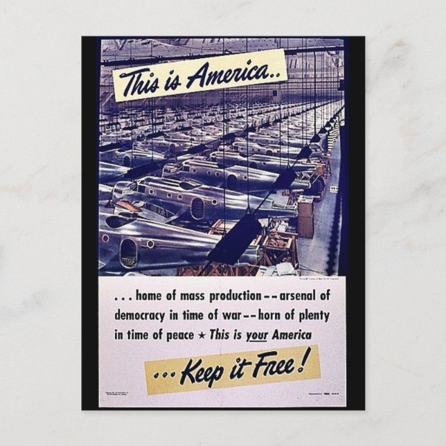 This Is America Keep It Free! Postcard (Front)