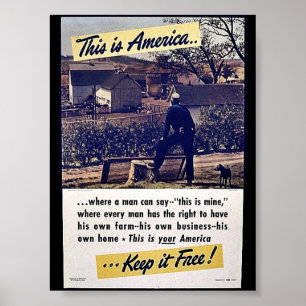This Is America Keep It Free! Poster