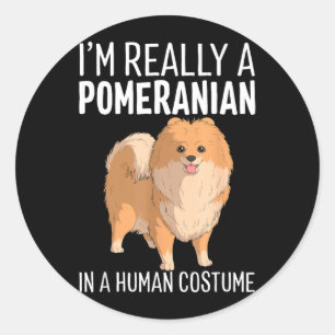 This Is Human Costume A Pomeranian Dog Halloween Classic Round Sticker
