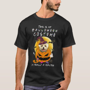 This Is My Halloween Costume I'm Really A Maltese T-Shirt