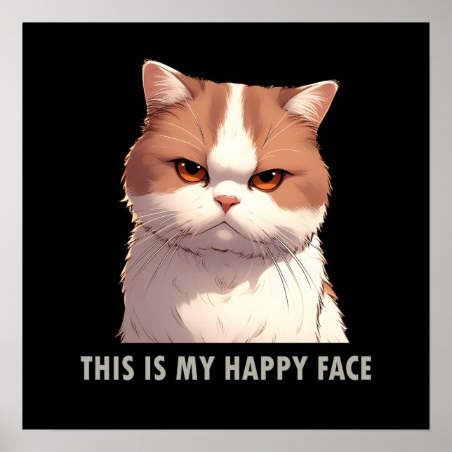 This is my Happy Face Moody Cat Poster (Front)