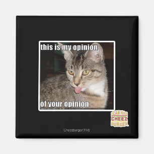 this is my opinion magnet