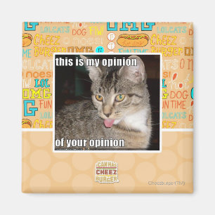 this is my opinion magnet