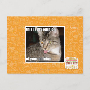 this is my opinion postcard