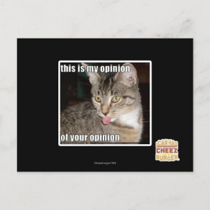 this is my opinion postcard