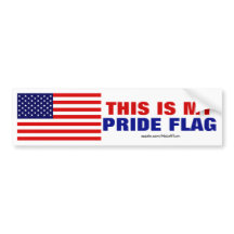 This Is My Pride Flag