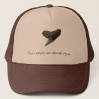This is not a shark's tooth.