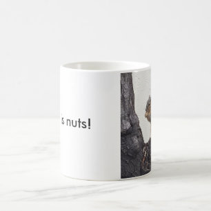 This is nuts! coffee mug