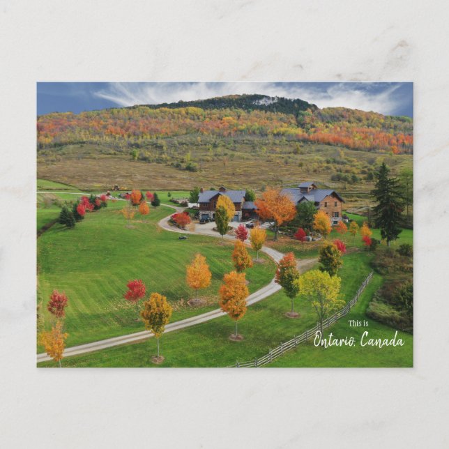 This is Ontario, Canada  Postcard (Front)