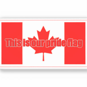 THIS IS OUR PRIDE FLAG