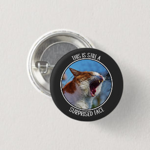 This is Still A Surprised Face Funny Cute Cat Meme 1 Inch Round Button
