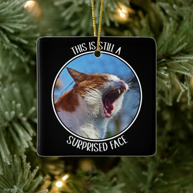 This is Still A Surprised Face Funny Cute Cat Meme Ceramic Ornament (Tree)