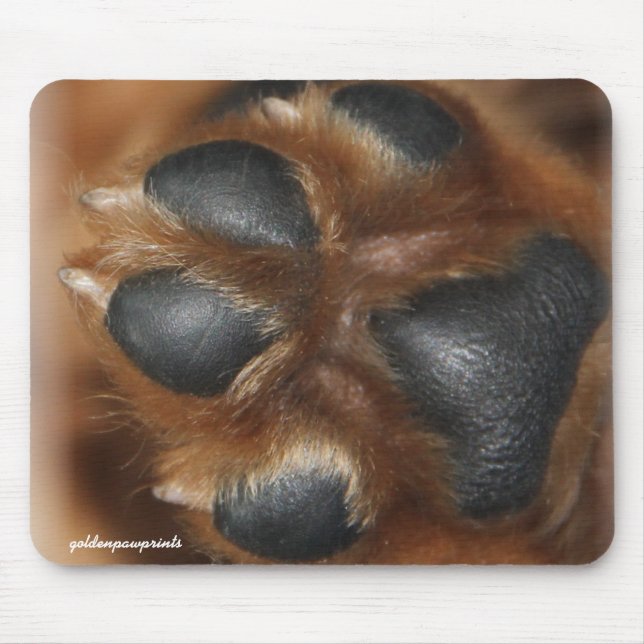 This is the Golden Penny Paw mouse pad (Front)