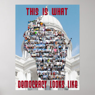 This is What Democracy Looks Like Poster