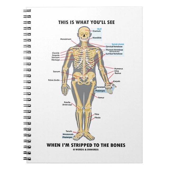 This Is What You'll See When I'm Stripped To Bones Notebook (Front)